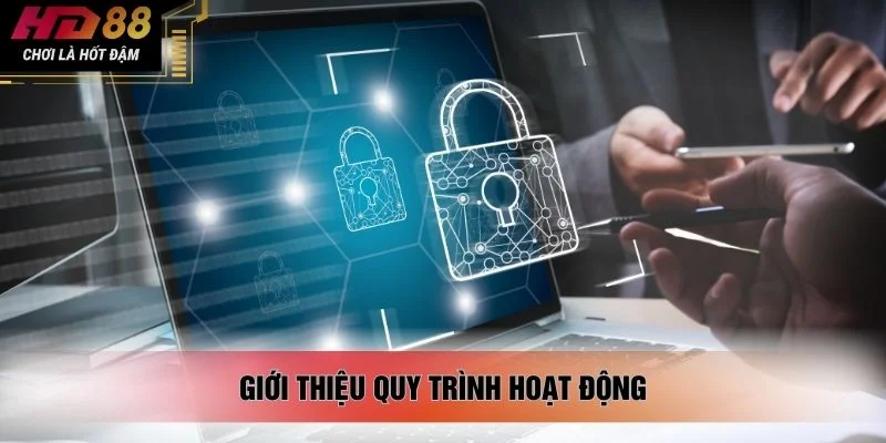 Giới thiệu quy trình hoạt động