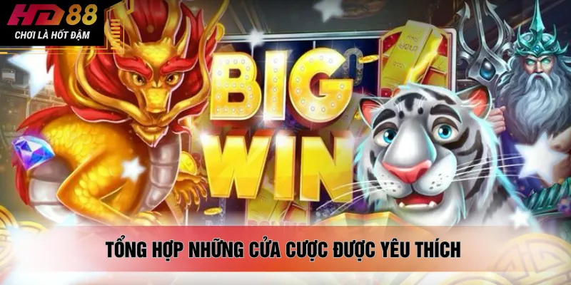 Tổng hợp những cửa cược được yêu thích 